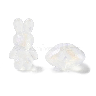 Transparent Acrylic Beads(MACR-D033-03)-3
