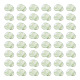 50G Transparent Acrylic Beads(TACR-TA0001-61B)-2