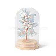 Natural Aquamarine Chips Money Tree in Dome Glass Bell Jars with Wood Base Display Decorations, for Home Office Decor Good Luck, 71x114mm(DJEW-B007-04C)