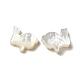 Natural White Shell Beads(BSHE-E026-08)-2