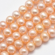 Natural Cultured Freshwater Pearl Beads Strands, Potato, Orange, 6~7x5.5~6mm, Hole: 0.8mm, about 58~60pcs/strand, 14.17~14.37 inch(36~36.5cm)(PEAR-F007-12B-01)