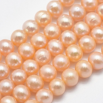 Natural Cultured Freshwater Pearl Beads Strands, Potato, Orange, 6~7x5.5~6mm, Hole: 0.8mm, about 58~60pcs/strand, 14.17~14.37 inch(36~36.5cm)