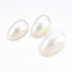 Natural White Shell Mother of Pearl Shell Cabochons, Oval, 31~40x21~22x11~12mm(SSHEL-P014-01A)