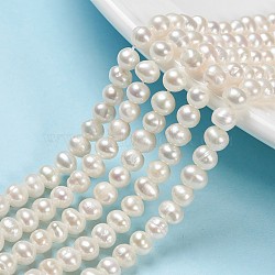 Potato Grade AA Natural Cultured Freshwater Pearl Beads Strands, Seashell Color, 4~5mm, Hole: 0.5mm, about 75~107pcs/strand, 13.3 inch~15 inch(PEAR-E007-4-5mm)