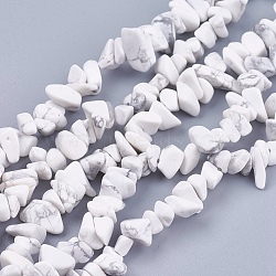 Natural Howlite Stone Bead Strands, Chip, White, 4~10x4~6x2~4mm, Hole: 1mm, about 320pcs/strand, 35.4 inch(X-G-R192-15)