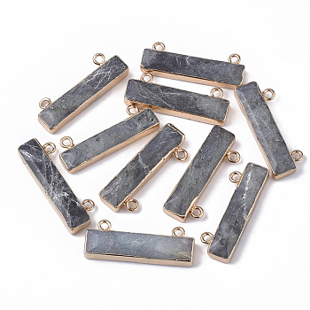 Natural Labradorite Charms, with Edge Golden Plated Iron Loops, Rectangle, 11x30.5x5mm, Hole: 1.8mm