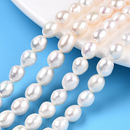 Natural Cultured Freshwater Pearl Beads Strands, Rice, Seashell Color, 7.5~8x6.5~7mm, Hole: 0.7~0.8mm, about 22~23pcs/strand, 7.09 inch(18cm)(PEAR-N012-06N)