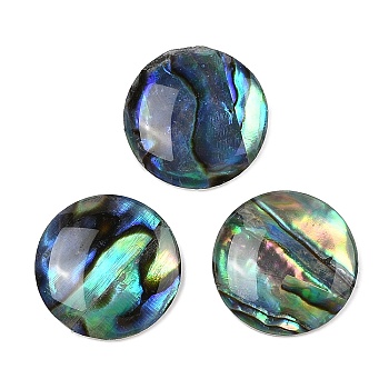 Natural Paua Shell Cabochons, Flat Round, 14x3mm