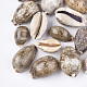 Cowrie Shell Beads(SSHEL-S258-59A)-1