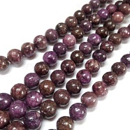Natural Lepidolite/Purple Mica Stone Round Bead Strands, 10mm, Hole: 1mm, about 40pcs/strand, 15.74 inch(G-L144-10mm-01)