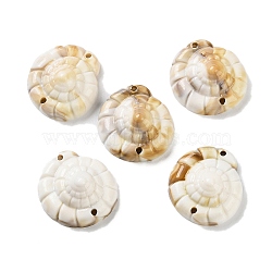 Opaque Acrylic Links Connectors, Imitation Gemstone, Spiral Shell Shape, Tan, 24.5x23x11mm, Hole: 2mm, about 236pc/500g(OACR-U004-06A)