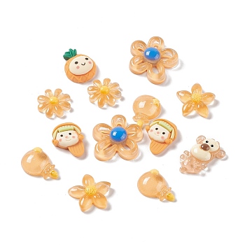 Translucent & Opaque Resin Cabochons, Flower & Pineapple & Monkey & Girl, Mixed Shapes, Mixed Color, 18.5~30x16.5~29x6~8mm