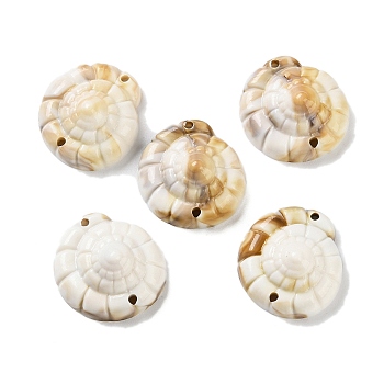 Opaque Acrylic Links Connectors, Imitation Gemstone, Spiral Shell Shape, Tan, 24.5x23x11mm, Hole: 2mm, about 236pc/500g