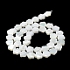Natural Trochus Shell Beads Strands(X-BSHE-P033-07)-5
