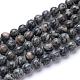 Natural Black Silk Stone/Netstone Bead Strands(G-R412-23-10mm)-1