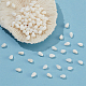 2 Strands Natural Freshwater Shell Beads Strands(SSHEL-NB0001-38)-4