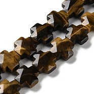 Natural Tiger Eye Beads Strands, Faceted, Cross, 12~13x12~12.5x5~6mm, Hole: 1.4mm, about 17pcs/strand, 8.27 inch(21cm)(G-K357-C04-01)