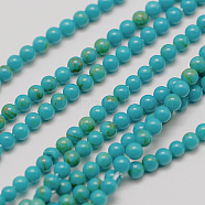 Imported Synthetic Turquoise Bead Strands, Round, 3mm, Hole: 0.5mm, about 126pcs/strand, 16 inch(G-A130-3mm-L05-1)