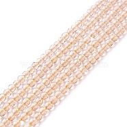 Transparent Glass Beads Strands, Faceted, Round, Old Lace, 3mm, Hole: 0.8mm, about 127~139pcs/strand, 14.09~14.53 inch(35.8~36.9cm)(GLAA-C019-01B-12)