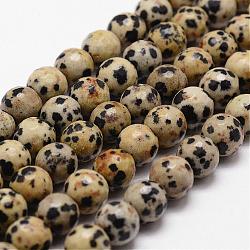 Natural Dalmatian Jasper Beads Strands, Faceted, Round, 8mm, Hole: 1mm, about 44pcs/strand, 14.9 inch~15.1 inch(G-D840-49-8mm)