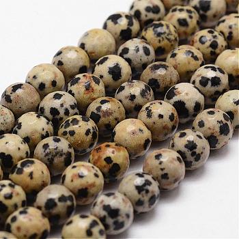 Natural Dalmatian Jasper Beads Strands, Faceted, Round, 8mm, Hole: 1mm, about 44pcs/strand, 14.9 inch~15.1 inch