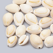Cowrie Shell Beads, No Hole/Undrilled, Seashell Color, 12~17x8~11x6~9mm(X-SSHEL-T004-08)