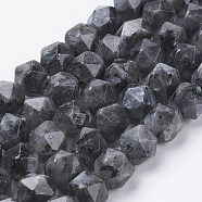 Natural Black Larvikite Beads Strands, Faceted, Round, 10x9mm, Hole: 1.2mm, about 38pcs/strand, 15.3 inch(39cm)(G-J376-47A-10mm)