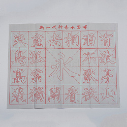 Gridded Magic Cloth Water-Writing, for Practicing Chinese Calligraphy or Kanji, White, 41~43x32x0.01cm(AJEW-WH0114-76D)