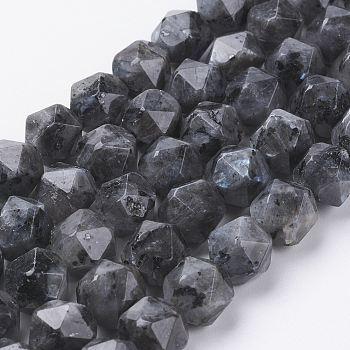 Natural Black Larvikite Beads Strands, Faceted, Round, 10x9mm, Hole: 1.2mm, about 38pcs/strand, 15.3 inch(39cm)