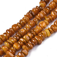 Natural Trochid Shell/Trochus Shell Beads Strands, Dyed, Flat Round, Dark Goldenrod, 5~10x1~7mm, Hole: 1mm, about 94pcs/strand, 14.96''(38cm)(SHEL-S258-081-B09)