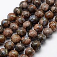 Natural Glaucophane Beads Strands, Round, 12mm, Hole: 1mm, about 32pcs/strand, 15.1 inch(G-K209-04A-12mm)