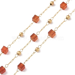 Natural Red Agate Square Beaded Chains, with Golden 304 Stainless Steel Findings, Unwelded, 2~3x2~2.5x2~2.5mm, about 3.28 Feet(1m)/Box(AJEW-SZ0002-43H)