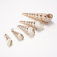 Electroplate Spiral Shell Pendants, with Brass Findings, Screw Shell, Golden, 36~67x10~17mm, Hole: 3mm(SSHEL-J051-02)