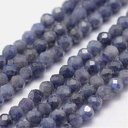 Natural Sapphire Gemstone Beads Strands, Faceted, Round, Grade A, 2mm, Hole: 0.5mm, about 178pcs/strand, 15.3 inch(39cm)(G-K182-2mm-22B)