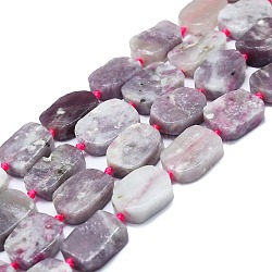 Natural Cherry Blossom Tourmaline Beads Strands, Rectangle, 15~17x10~13x5~7mm, Hole: 1mm, about 22pcs/strand, 15.94 inch(40.5cm)(G-K245-J23-01)