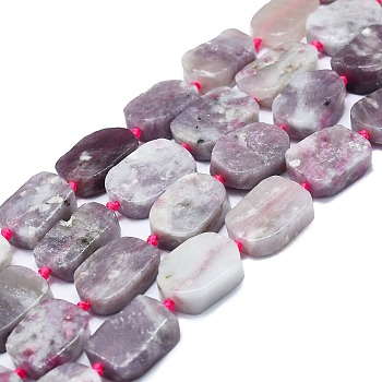 Natural Cherry Blossom Tourmaline Beads Strands, Rectangle, 15~17x10~13x5~7mm, Hole: 1mm, about 22pcs/strand, 15.94 inch(40.5cm)