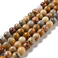 Natural Crazy Agate Beads Strands, Faceted(128 Facets), Round, 10mm, Hole: 1mm, about 36~38pcs/strand, 14.17~14.96 inch(36~38cm)(G-E571-36C)