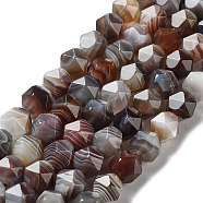 Natural Botswana Agate Beads Strands, Faceted, Star Cut Round Beads, 10x10x10mm, Hole: 1.2mm, about 39pcs/strand, 15.35 inch(39cm)(G-NH0002-C01-03)