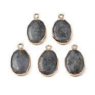 Natural Labradorite Pendants, with Light Gold Plated Brass Findings, Oval, 22~22.5x13~13.5x4.5~5mm, Hole: 1.6mm(G-N326-130-05)
