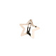 Star Alloy Snap Hair Clips(PW-WG92769-01)-1