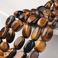 Nuggets Natural Tiger Eye Bead Strands, Tumbled Stone, 13~17x11~15mm, Hole: 1mm, about 27pcs/strand, 16.5 inch(X-G-M350-06)