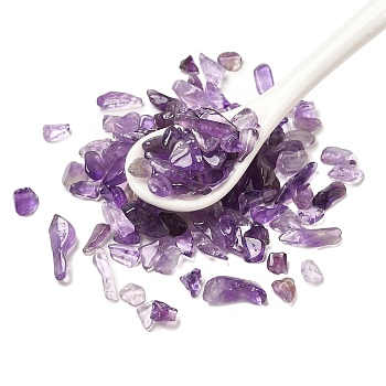 Natural Amethyst Chip Beads, No Hole/Undrilled, 5~18x5~8x2~6mm, about 5000pcs/1000g