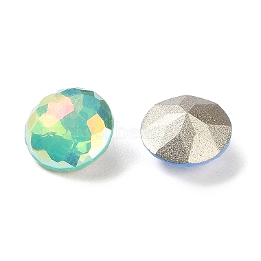 K9 GLass Rhinestone Cabochons(EGLA-F161-09)-2