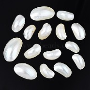 Natural Conch Shell Cabochons, Oval, Seashell Color, 20~34x11~20x6~10mm(SSHEL-N034-91)