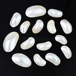 Natural Conch Shell Cabochons, Oval, Seashell Color, 20~34x11~20x6~10mm(SSHEL-N034-91)