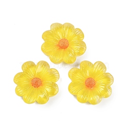 Flower Series Resin Cabochons, Galsang Flower, Champagne Yellow, 26x7mm(CRES-Q008-01F)