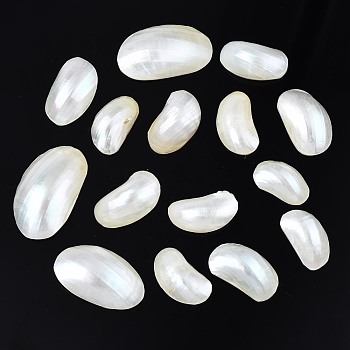 Natural Conch Shell Cabochons, Oval, Seashell Color, 20~34x11~20x6~10mm