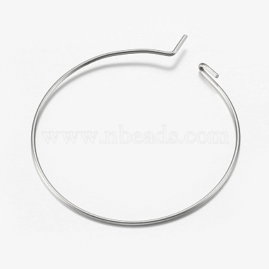 316 Surgical Stainless Steel Hoop Earrings Findings(STAS-F149-32P-A)-3