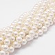 Rainbow Plated Shell Pearl Bead Strands(X-BSHE-L025-02-6mm)-1