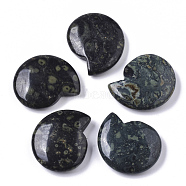 Natural Kambaba Jasper Beads, No Hole/Undrilled, Spiral Shell Shape, 32.5x28x8mm(G-R464-009A)